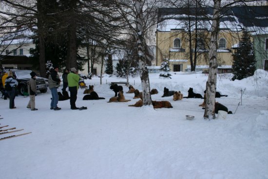 03022004_026.jpg
