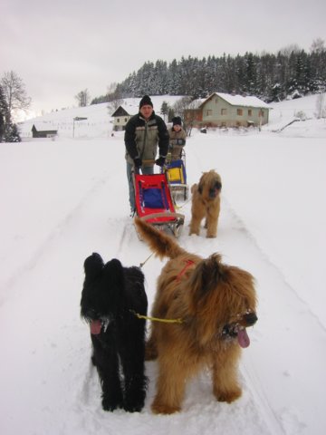101_0132_img.jpg