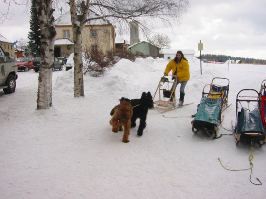 101_0139_img.jpg