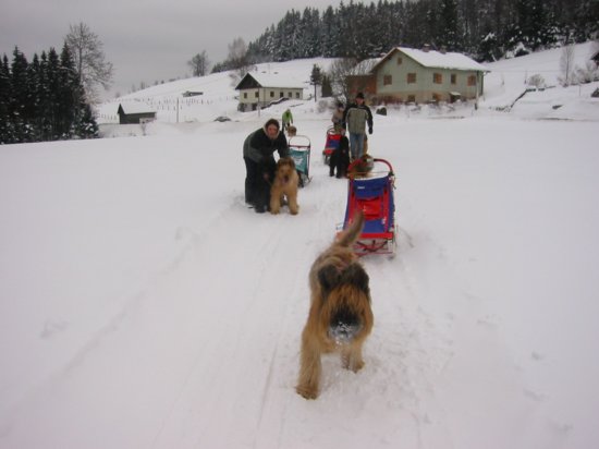 101_0140_img.jpg
