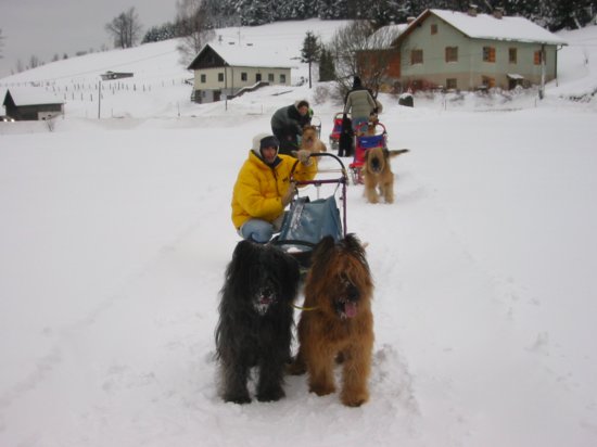 101_0141_img.jpg