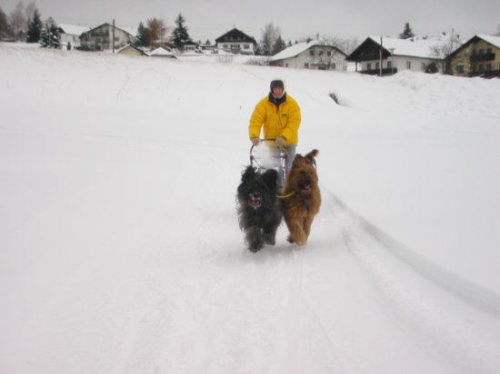 101_0151_img.jpg
