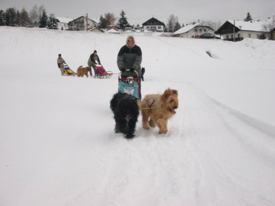 101_0152_img.jpg