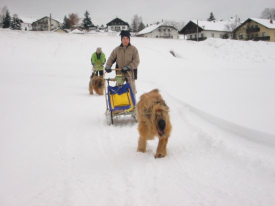 101_0155_img.jpg