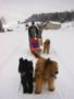 101_0132_img.jpg