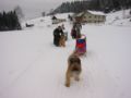 101_0140_img.jpg