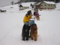 101_0141_img.jpg