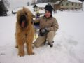 101_0145_img.jpg