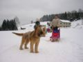 101_0148_img.jpg