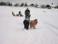 101_0152_img.jpg