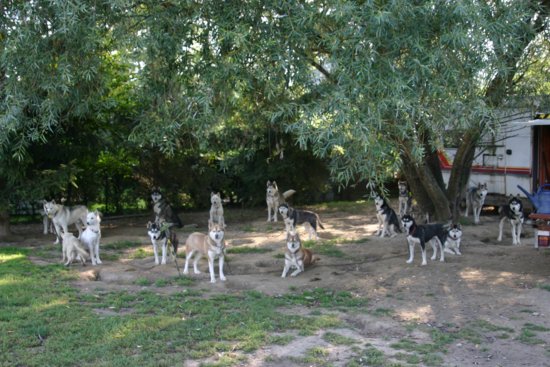 img_6949.jpg