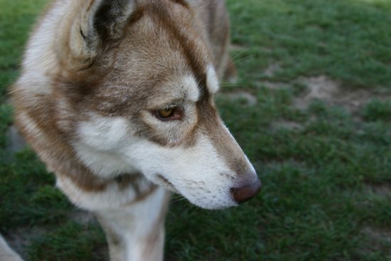 img_7202.jpg