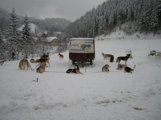 dscn0481.jpg