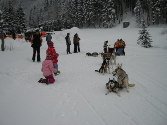 dscn0486.jpg