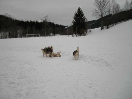 dscn0502.jpg