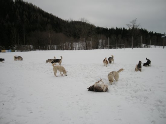 dscn0503.jpg