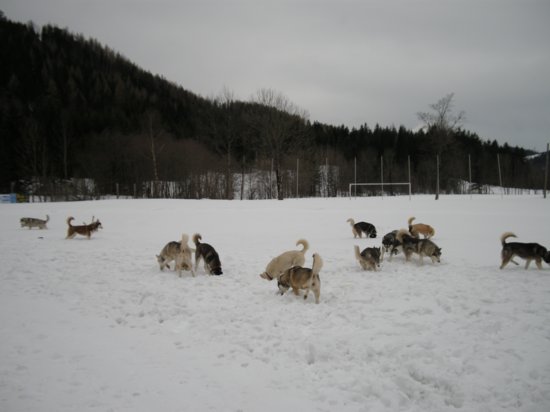 dscn0505.jpg