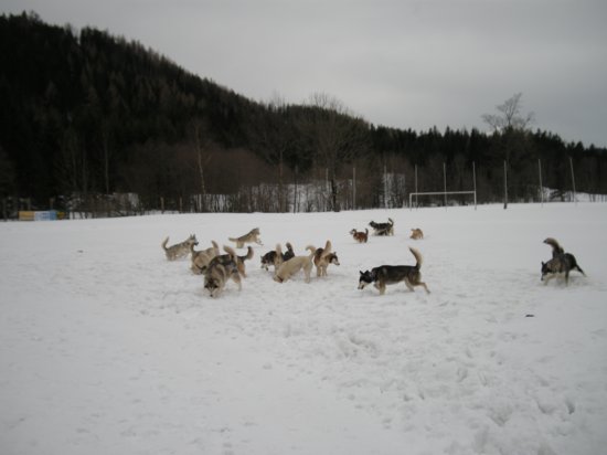 dscn0506.jpg