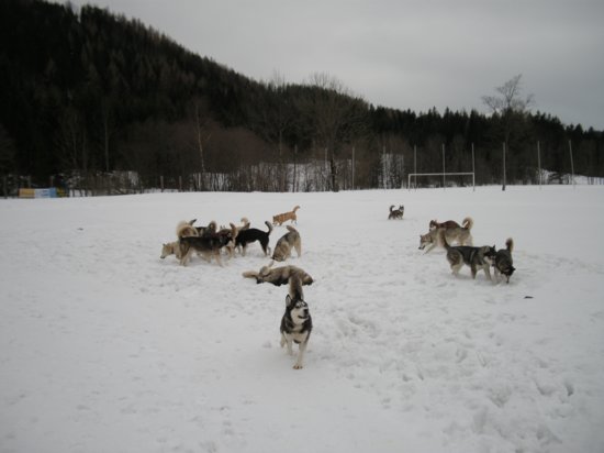 dscn0507.jpg