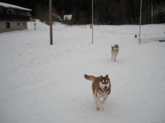 dscn0508.jpg