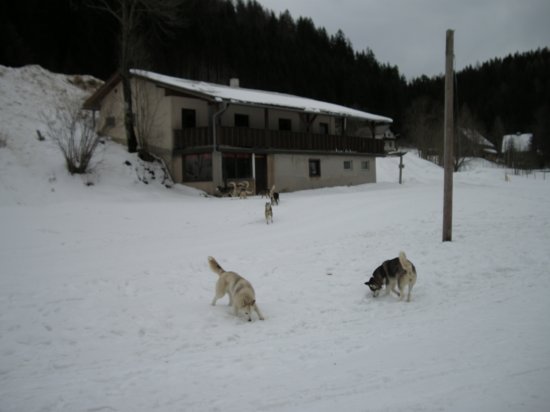 dscn0509.jpg