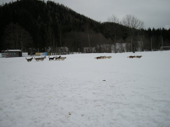 dscn0510.jpg