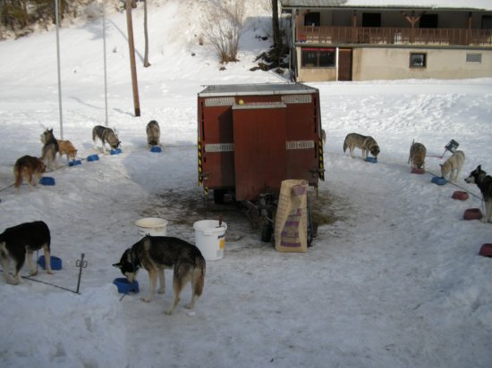 dscn0520.jpg