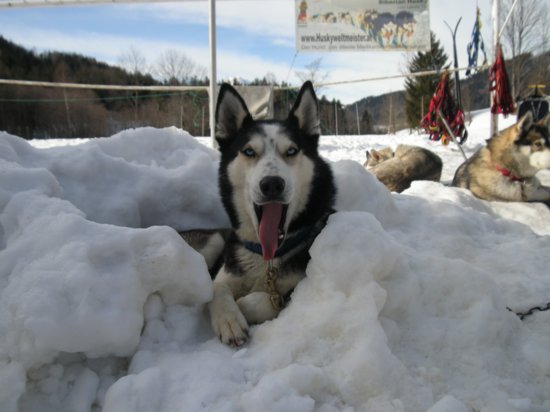 dscn0531.jpg
