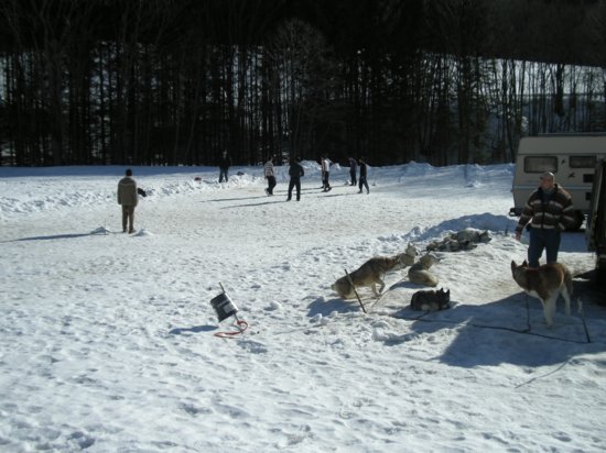 dscn0532.jpg