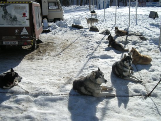 dscn0533.jpg