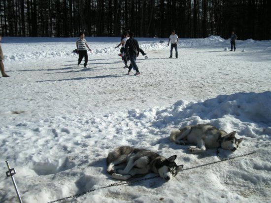 dscn0534.jpg
