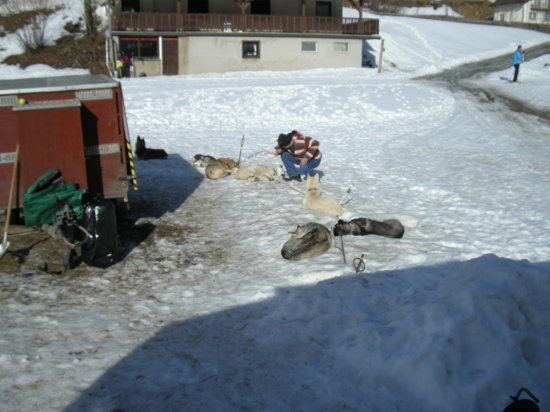 dscn0547.jpg