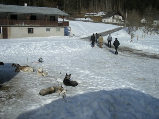 dscn0548.jpg