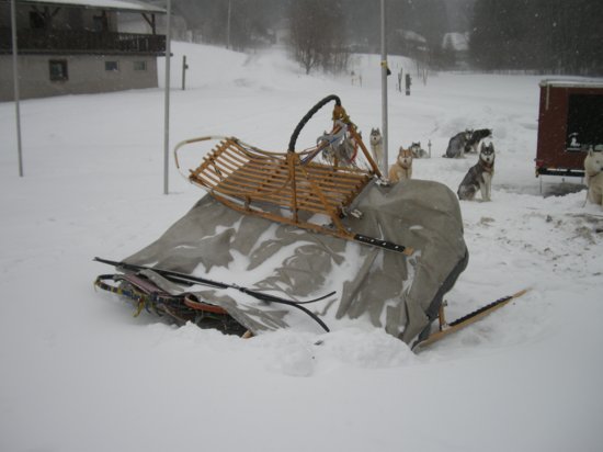 dscn0651.jpg