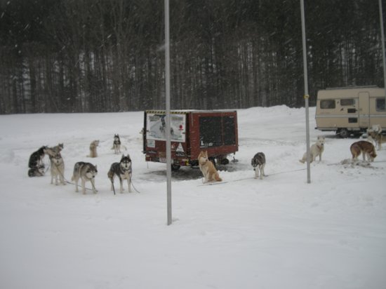 dscn0652.jpg