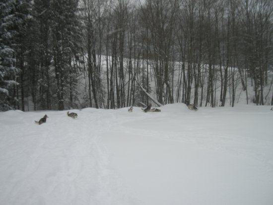 dscn0670.jpg