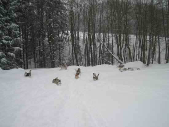 dscn0671.jpg