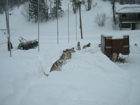 dscn0675.jpg