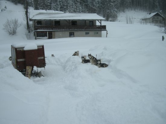 dscn0676.jpg