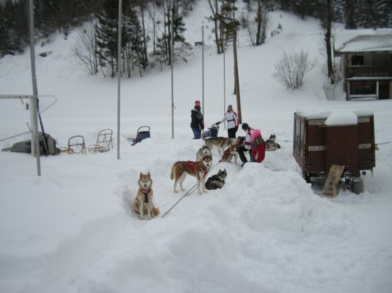 dscn0681.jpg