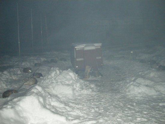 dscn0687.jpg