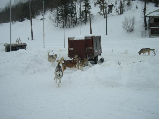 dscn0689.jpg