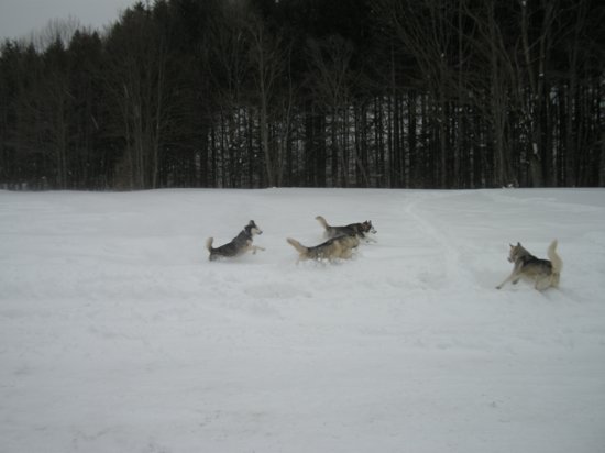 dscn0691.jpg