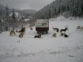 dscn0481.jpg