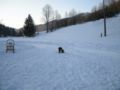 dscn0495.jpg
