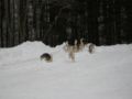 dscn0501.jpg