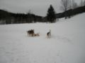 dscn0502.jpg