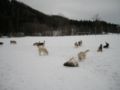 dscn0503.jpg
