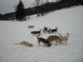 dscn0504.jpg