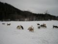 dscn0505.jpg